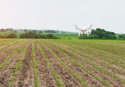 Adopting Automated operations in agriculture