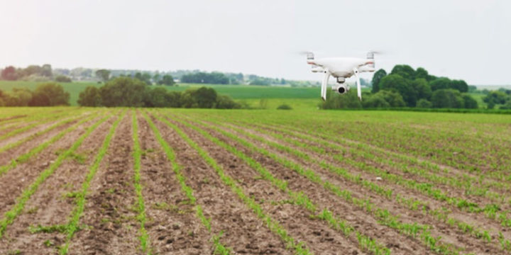 Adopting Automated operations in agriculture